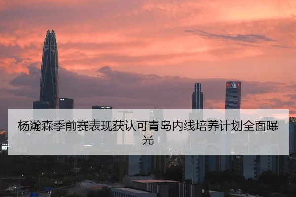 杨瀚森季前赛表现获认可青岛内线培养计划全面曝光 - 3377app